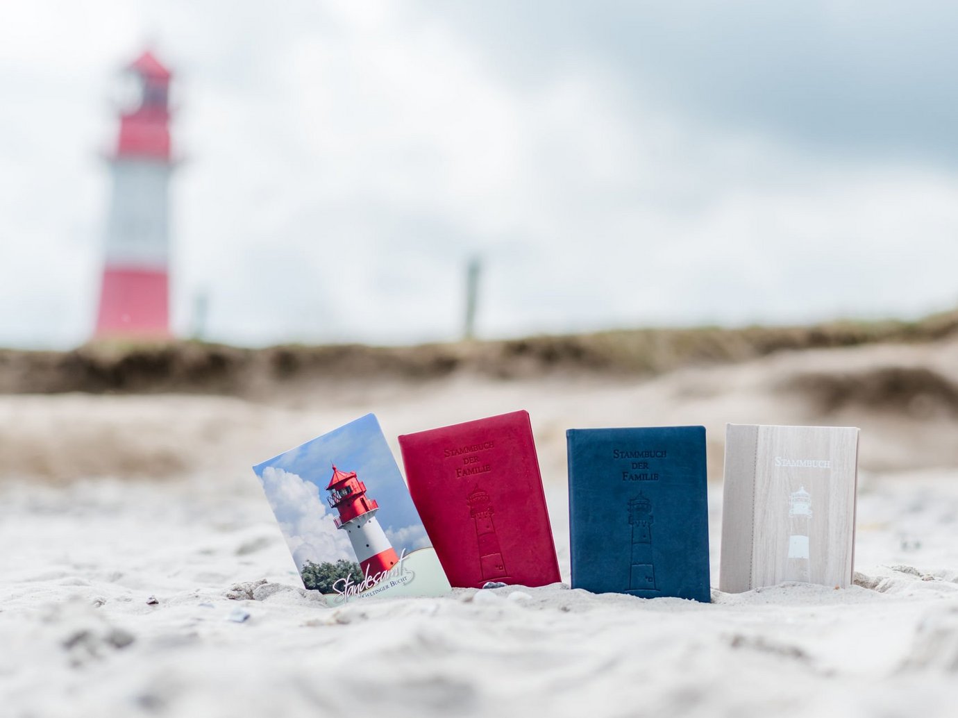Stammbücher im Sand mit dem Leuchtturm im Hintergrund